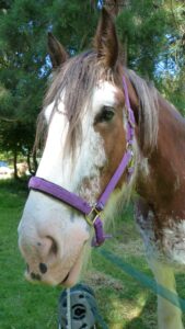 480709833_964930339104105_4623882224902620475_n