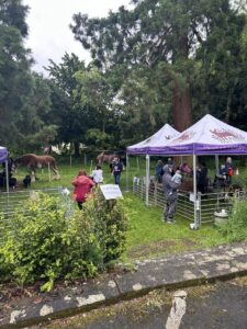 481131836_967070218890117_4616030127448917839_n