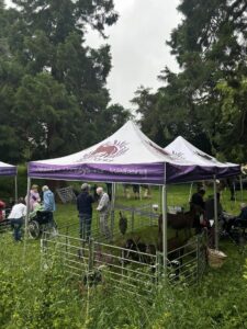 481168974_967070138890125_544849224209067069_n