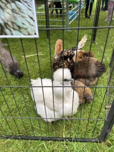 481673322_967071105556695_2006590710582451942_n